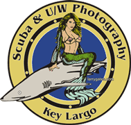 scuba instruction underwater photography lessons courses class key largo florida keys